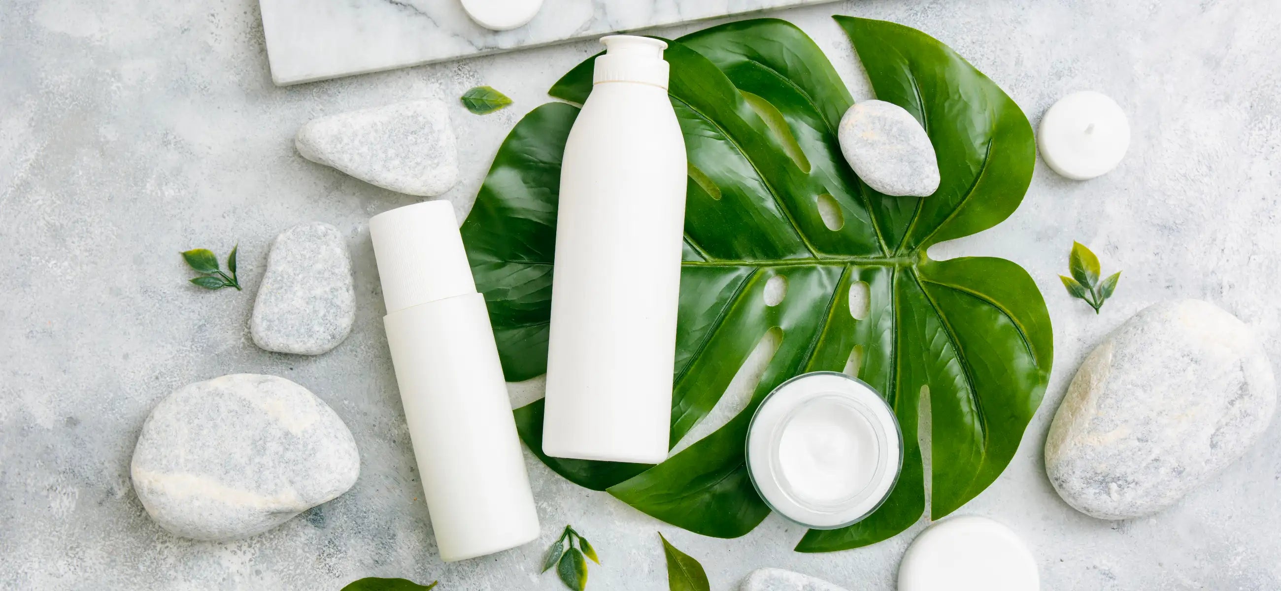 Grease-busting: Discover the ingredients to look for in the best shampoo for greasy hair