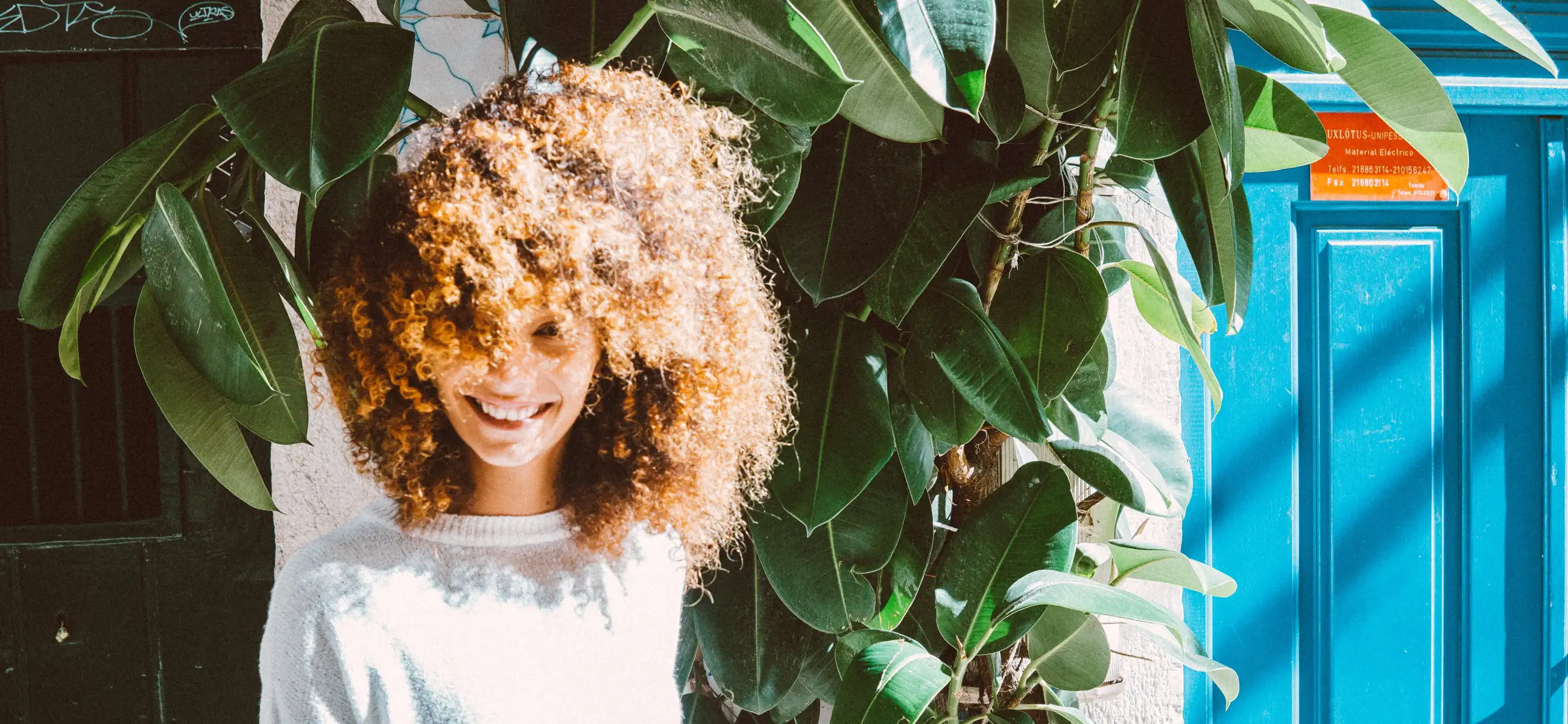 Unveiling the beauty of coily hair: A comprehensive guide