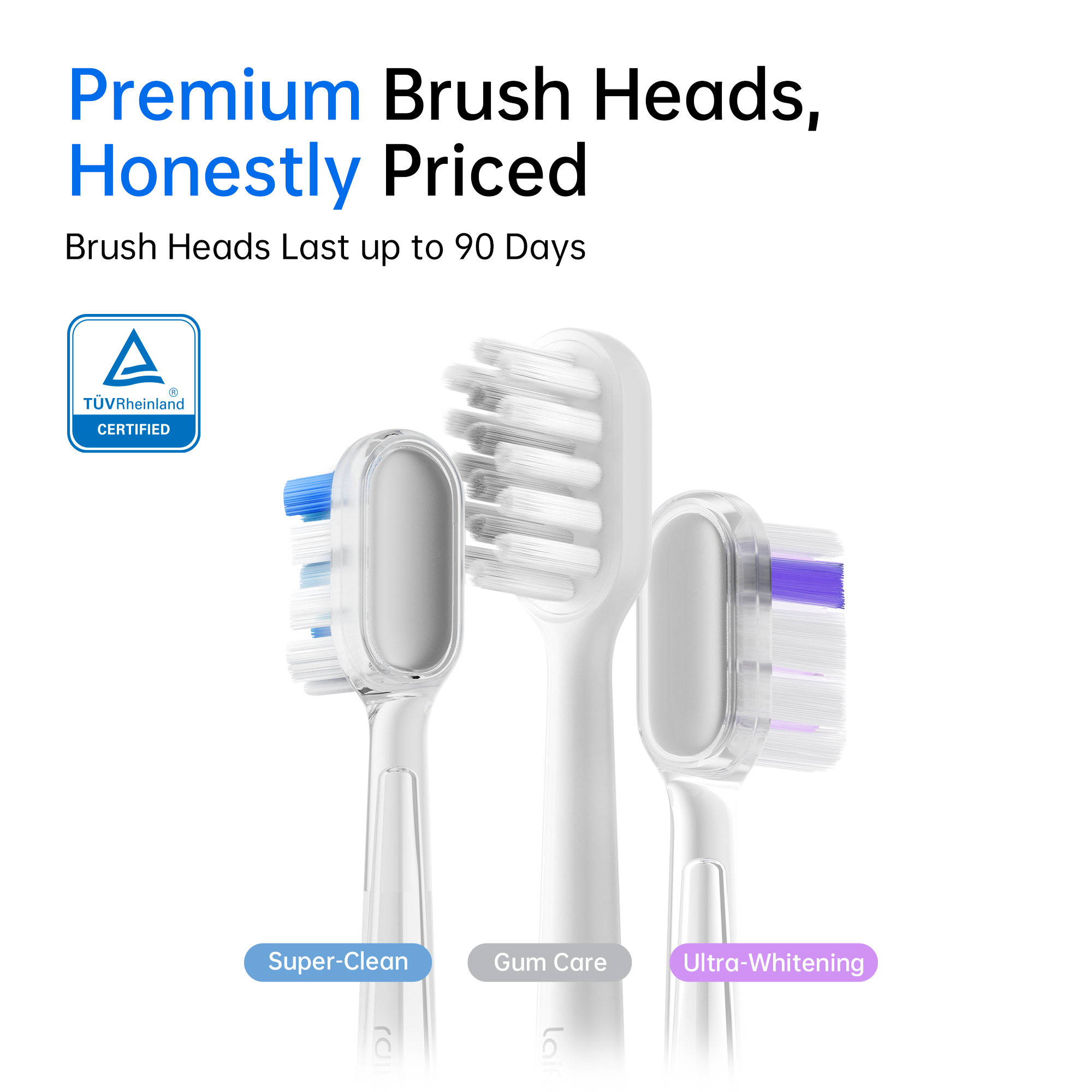 Color_Polished Stainless Steel 6 Pack-Gum Care-White
