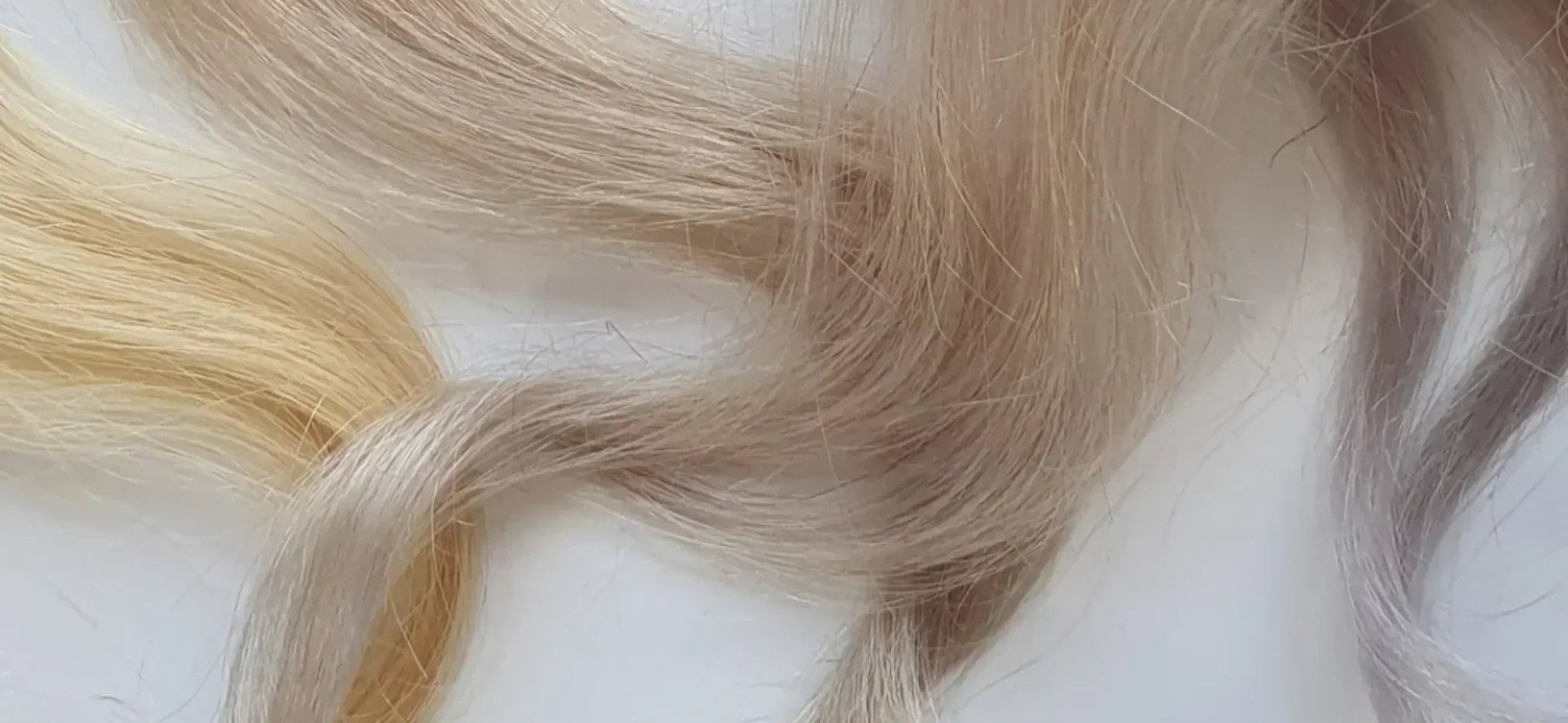 Hair toner explained: Everything you need to know