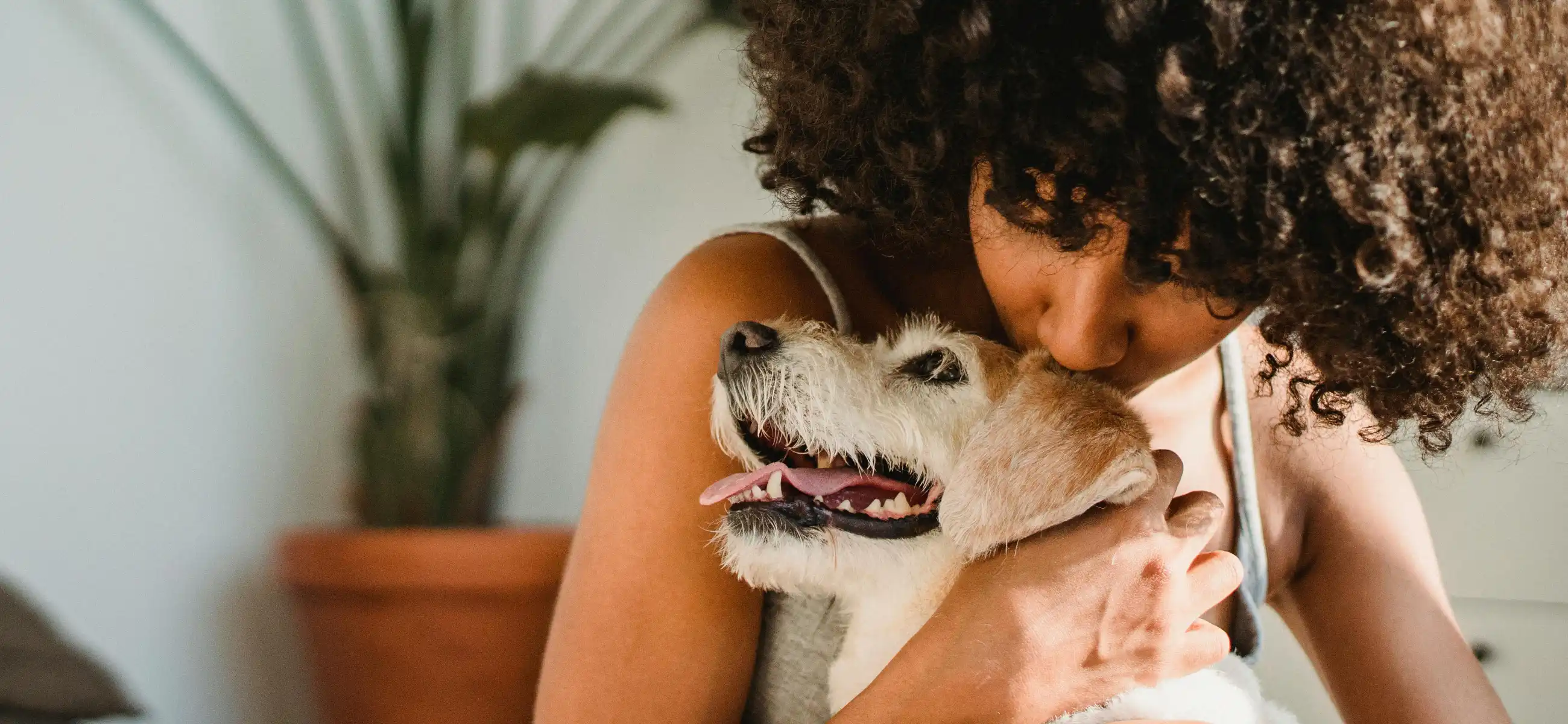 Blowing out Afro-textured hair: Guides, products, and hairstyles
