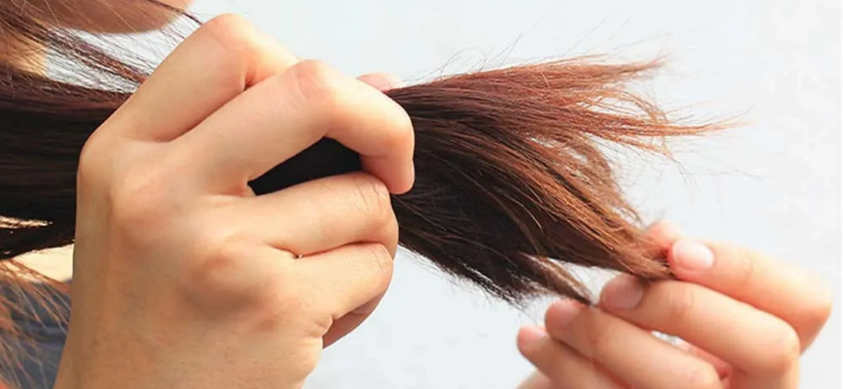 Does BII cause dry, broken hair? What the evidence says