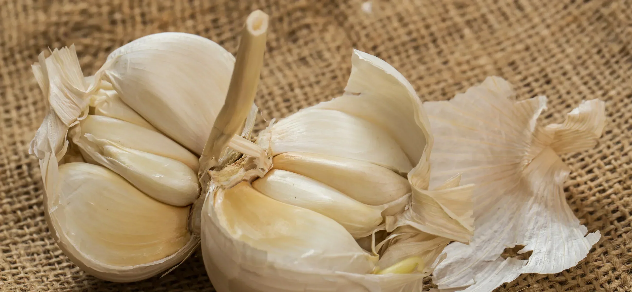 Garlic breath: 10 best natural and instant methods to get rid of it