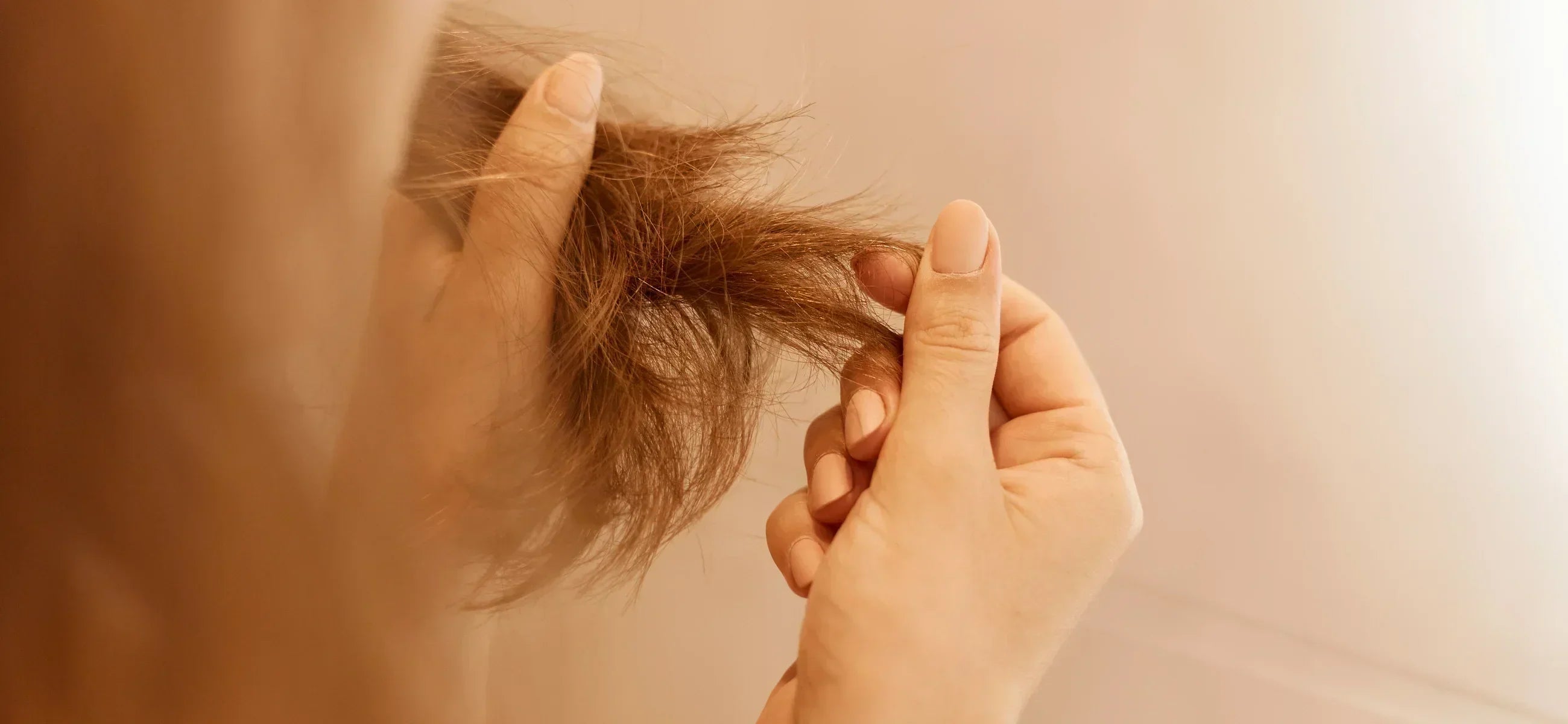 10 best home remedies for dry and frizzy hair (Updated)