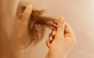 10 best home remedies for dry hair