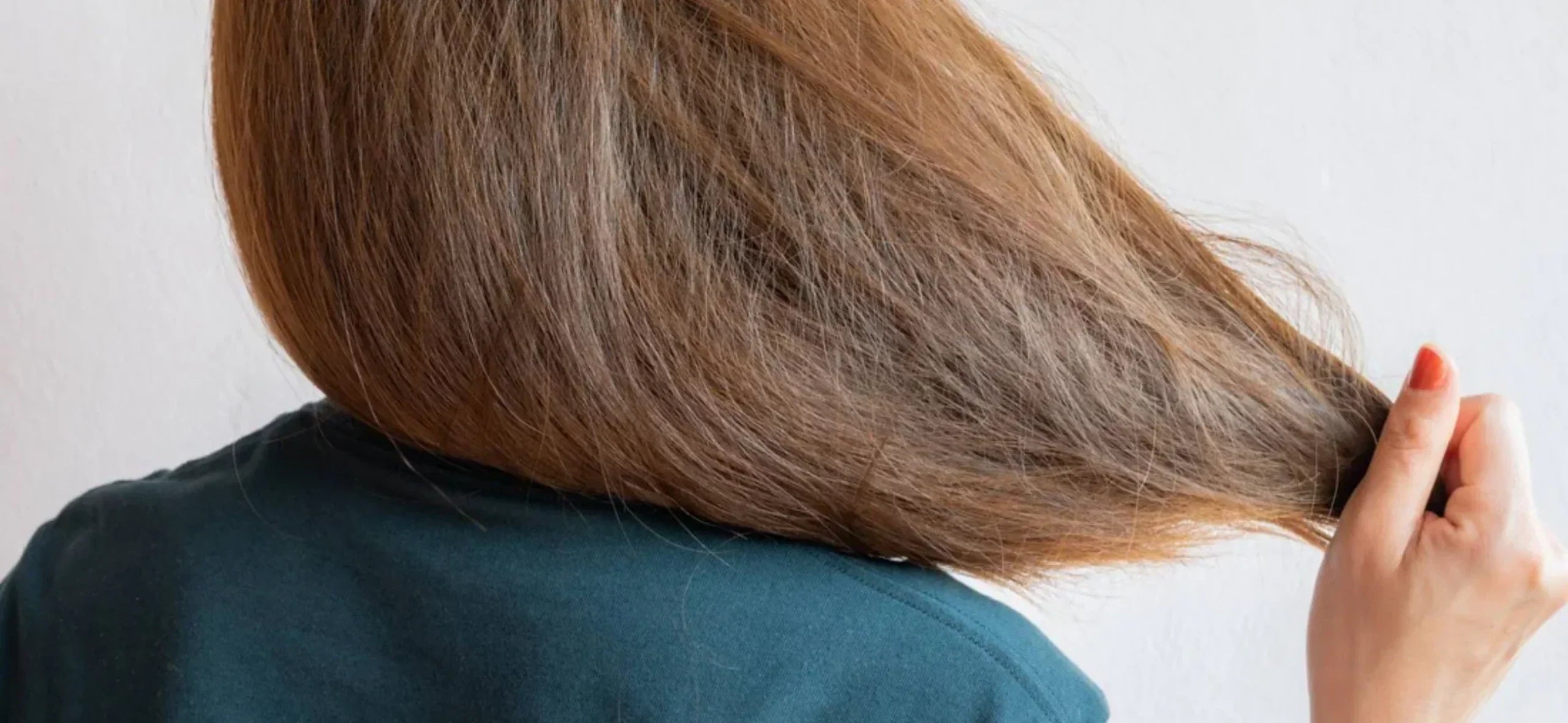 Dry hair explained: What causes it and how to fix it?