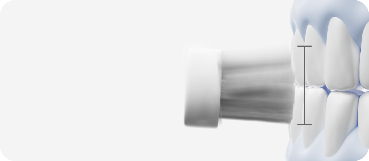 Skeletal drawing of a ribcage with a blue section on a white background