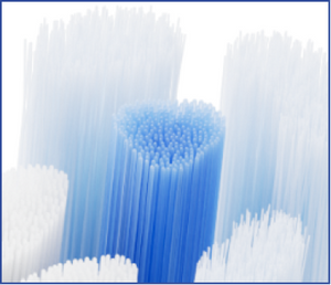 Close-up of a dental model with teeth and a dental impression tray.